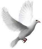 �������� � ��������