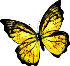 �������� � ��������