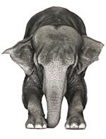 �������� � ��������