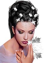 �������� � ��������