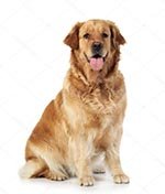 �������� � ��������