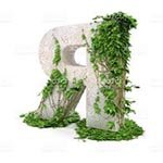 �������� � ��������