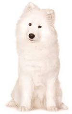 �������� � ��������