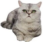 �������� � ��������